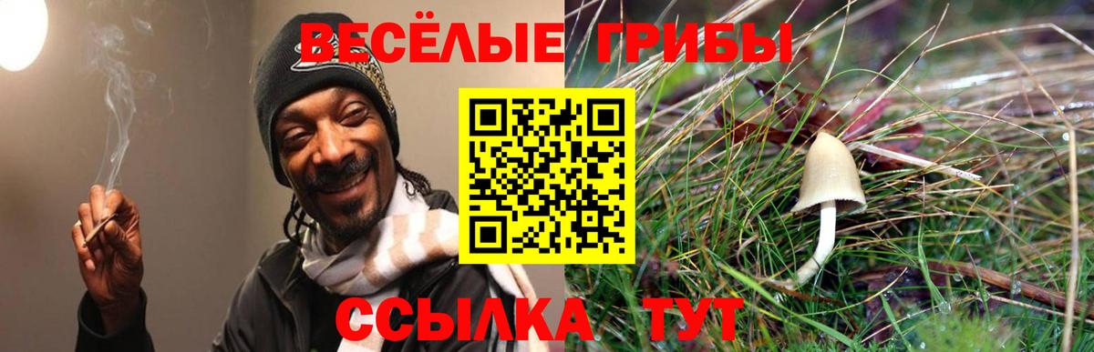Галлюциногенные грибы мицелий  Галлюциногенные грибы прущие грибы  Обнинск  Вход с VPN 